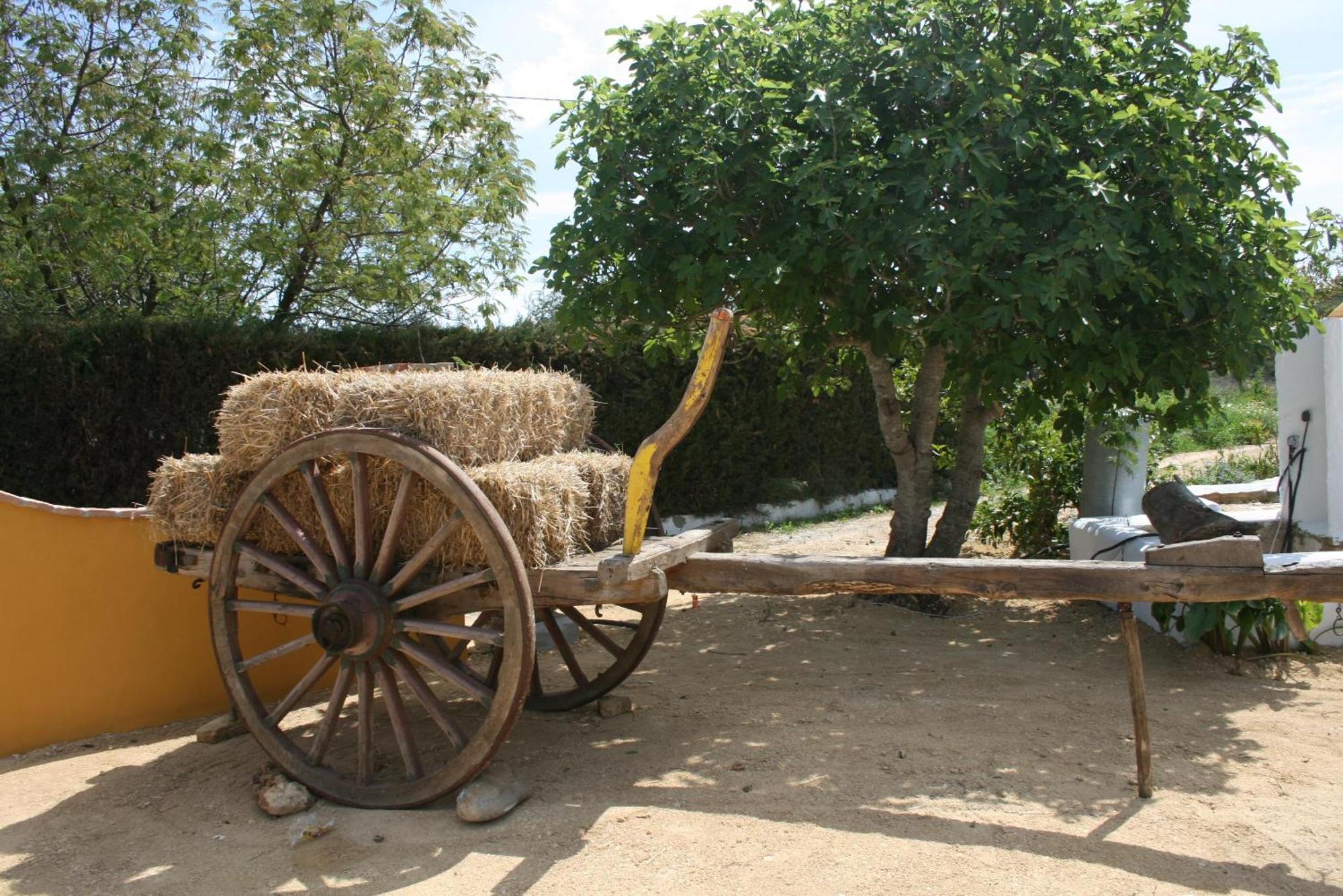Hacienda Majadales * Conil De La Frontera